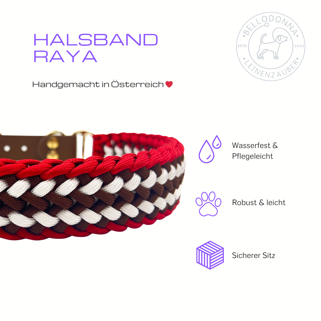 Paracord Hundehalsband Raya