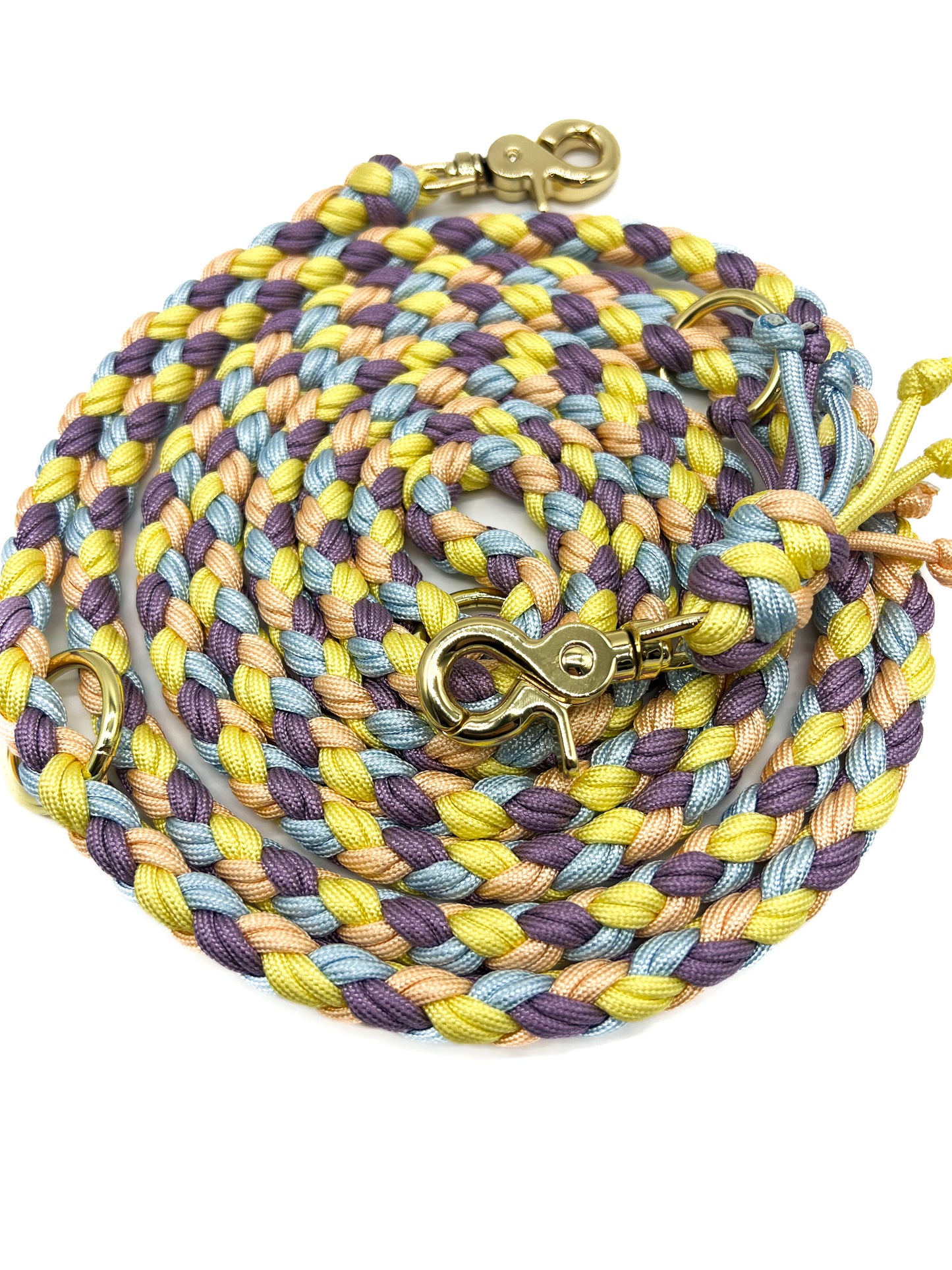 Paracord Hundeleine Victoria