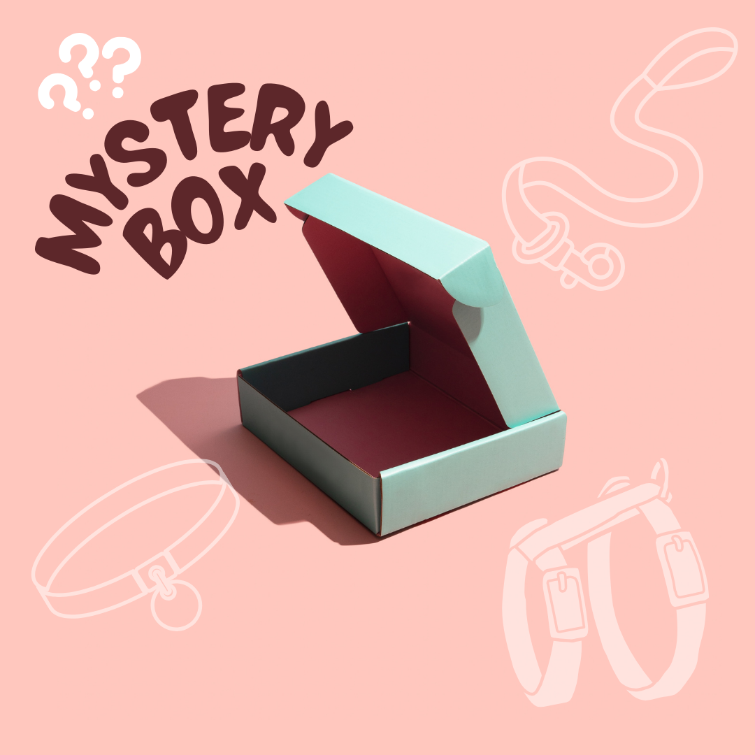 Mysterybox – Lass dich verzaubern!
