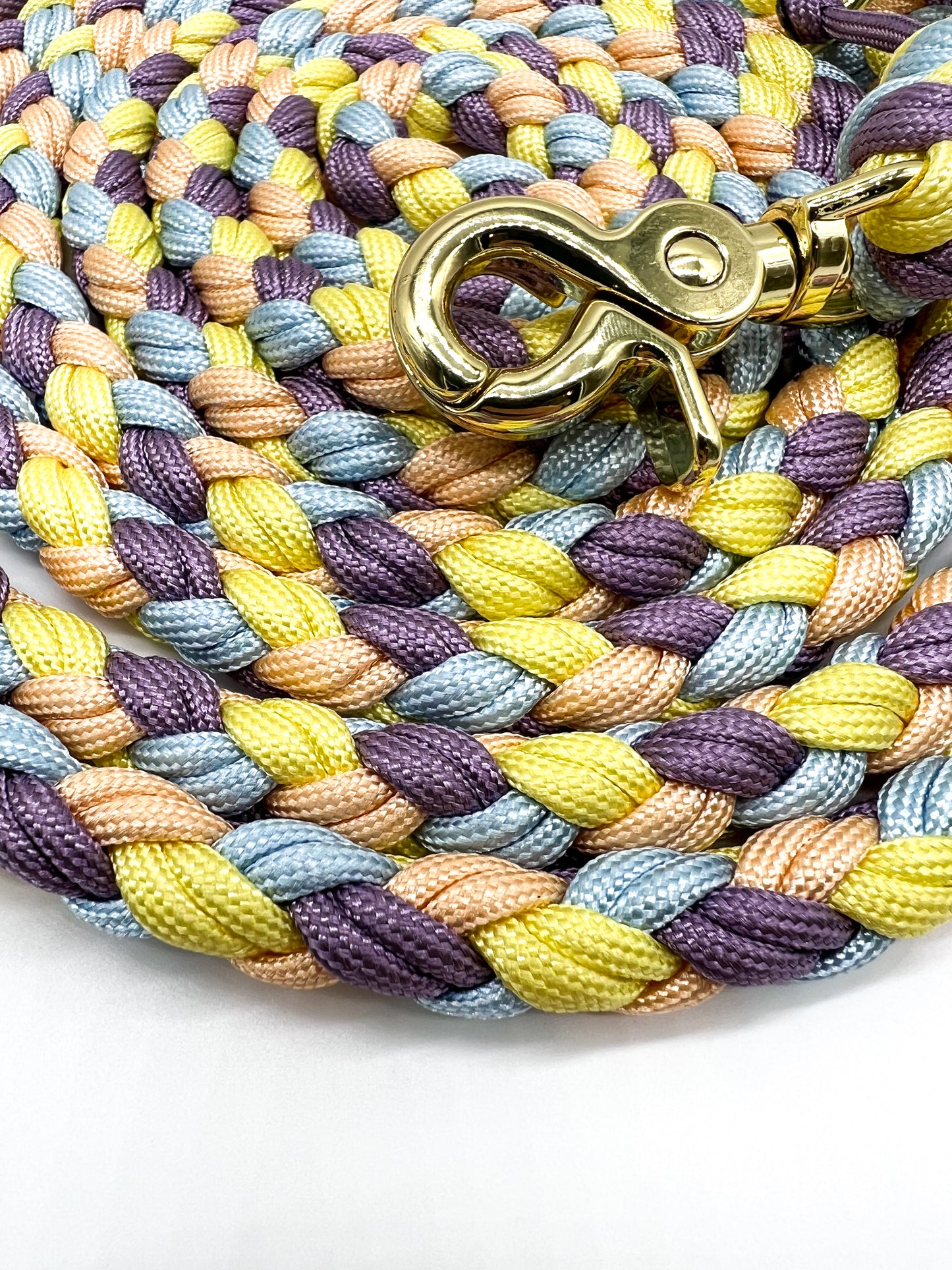 Paracord Hundeleine Victoria
