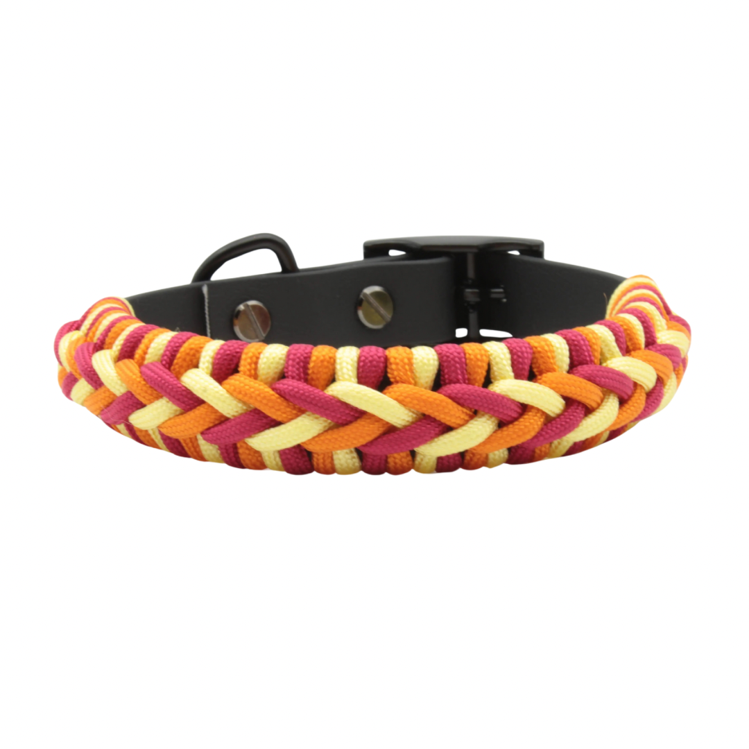 Hundehalsband Turbo