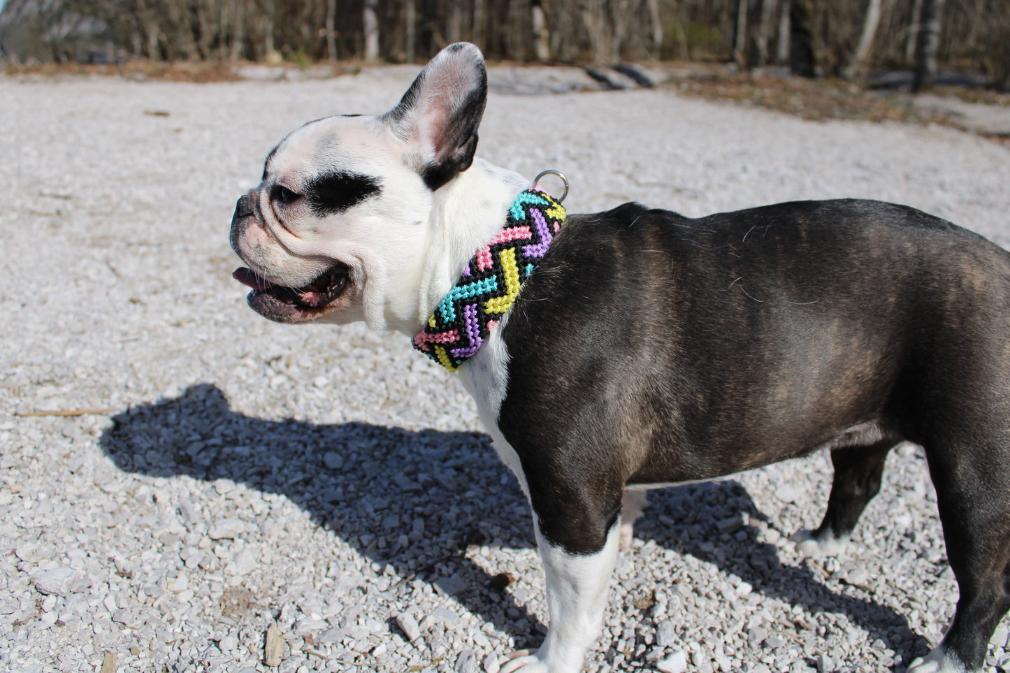 Paracord Hundehalsband Bella