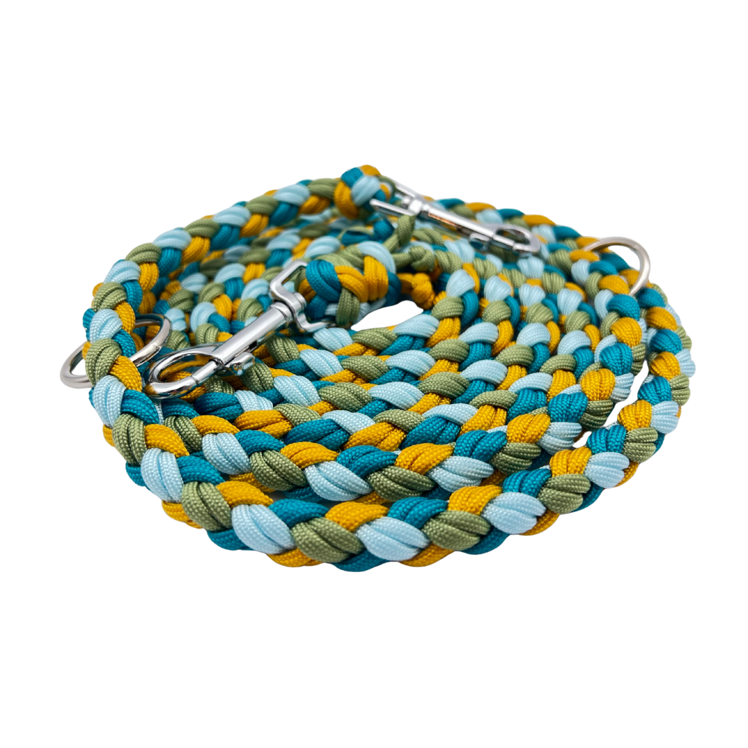 Paracord Hundeleine Victoria