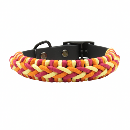Hundehalsband Turbo