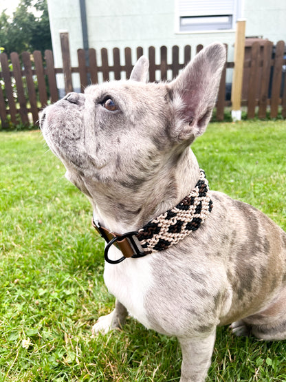 Paracord Hundehalsband Savannah