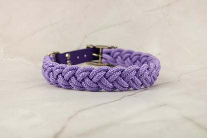 Tau Halsband Sunny "Violet Sorbet"