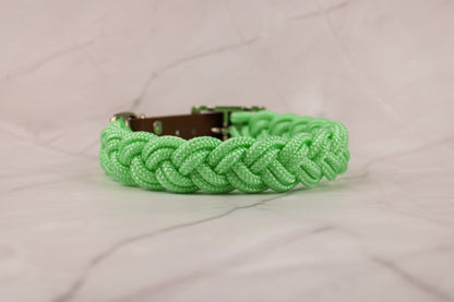 Tau Halsband Sunny "Virgin Mojito"