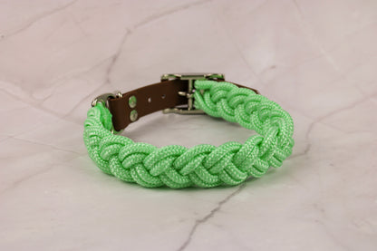 Tau Halsband Sunny "Virgin Mojito"
