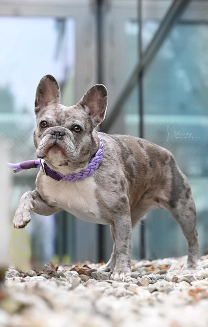 Tau Halsband Sunny "Blueberry Muffin"