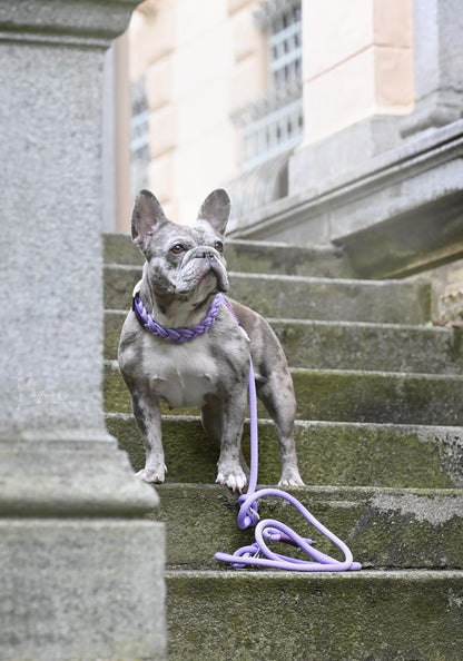 Tau Halsband Sunny "Violet Sorbet"