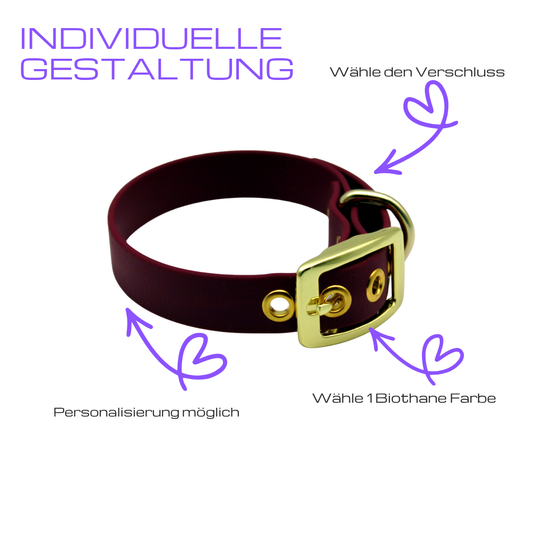 Biothane Hundehalsband Kiwi